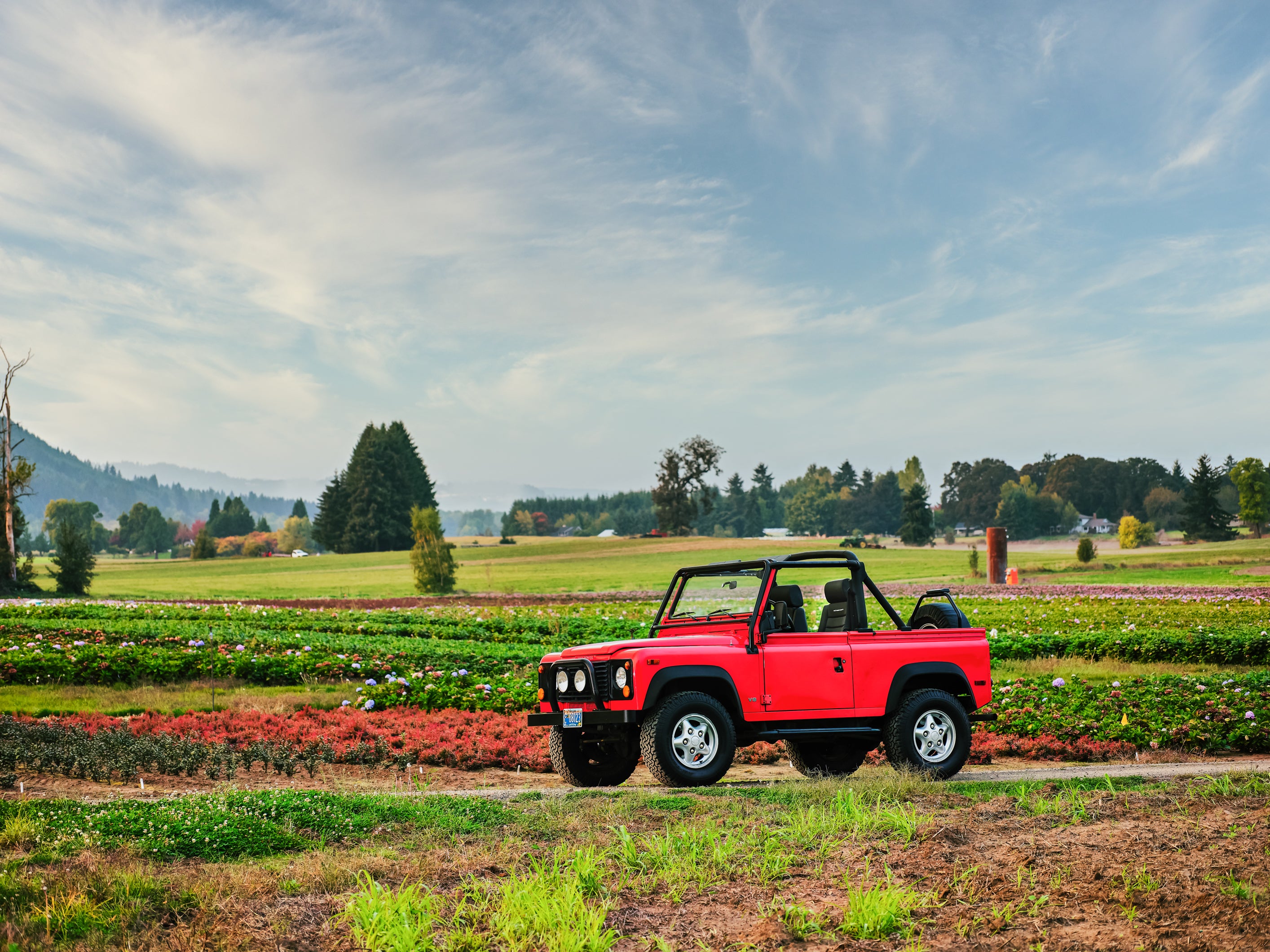 Red Land Rover Defender 90 parked in a flower farm field with blue sky