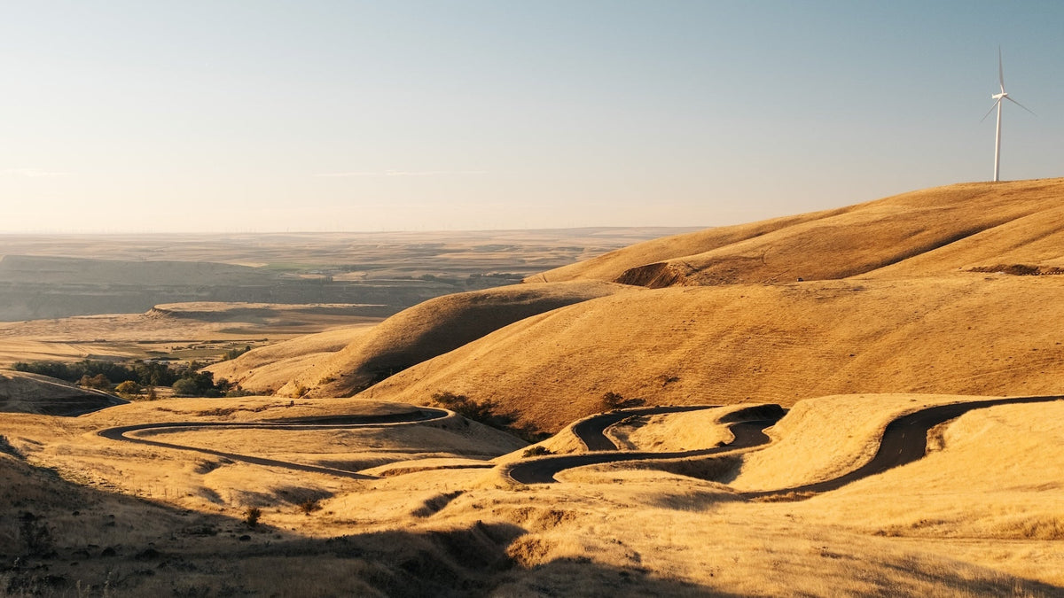 Maryhill Loops Road curling through golden hills at sunrise, with a wind turbine on the ridge.